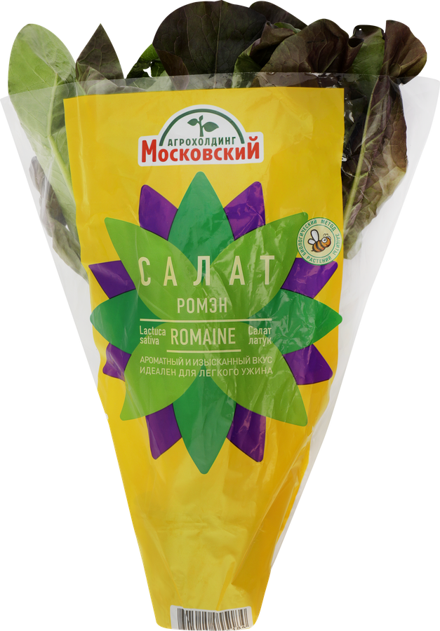 Салат Ромэн, в горшочке, превью