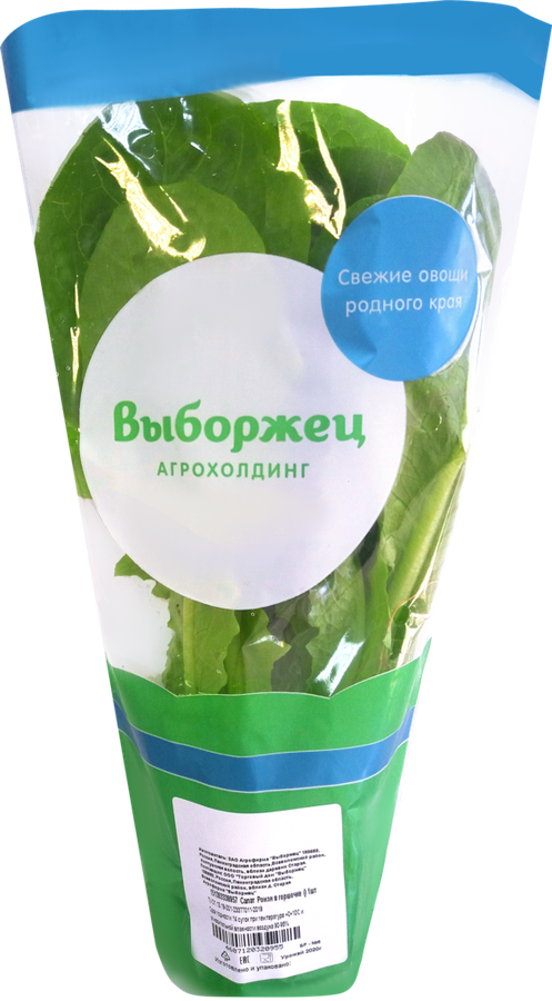Салат Ромэн, в горшочке, предпросмотр
