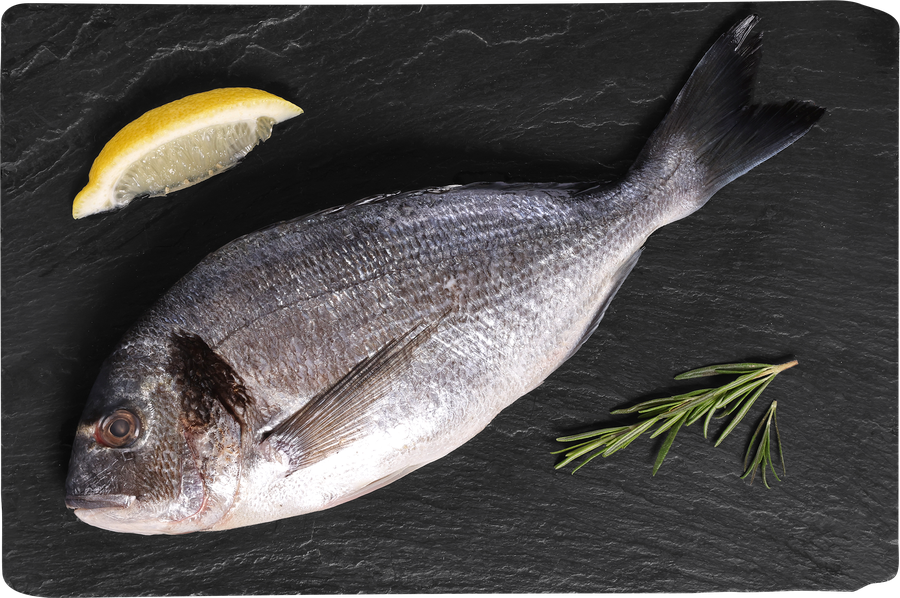 Дорадо ЛЕНТА FRESH непотрошеная с головой (из замороженного сырья) 
300–600г, весовая, предпросмотр