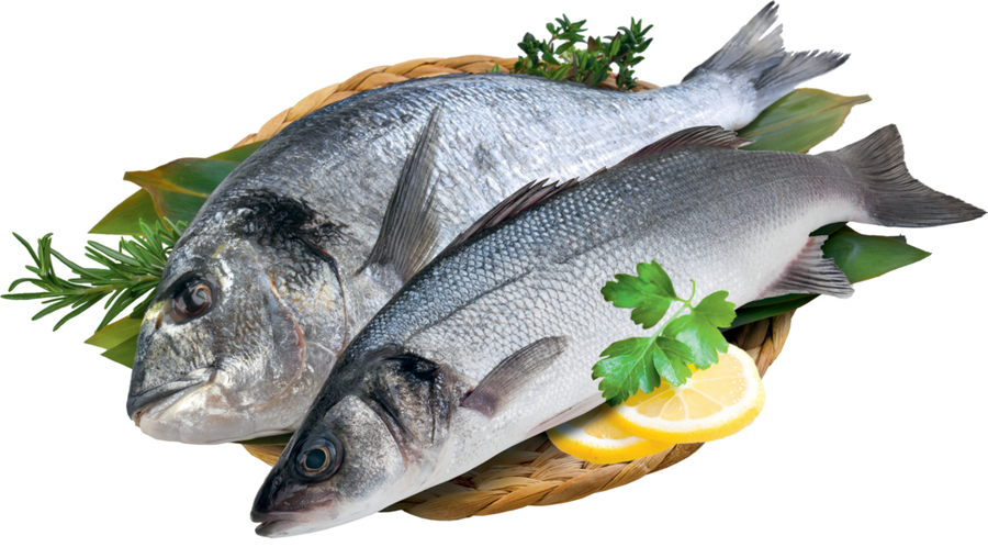 Сибас ЛЕНТА FRESH непотрошеный с головой (из замороженного сырья) 300–400г, весовой, превью