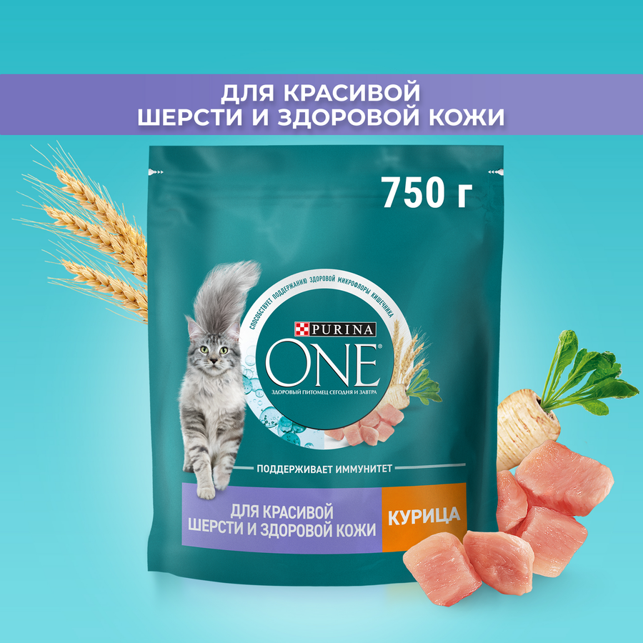 Корм сухой для взрослых кошек PURINA ONE для красивой шерсти, здоровой кожи и контроля образования волосяных комков, с высоким содержанием курицы и цельными злаками, 750г, превью