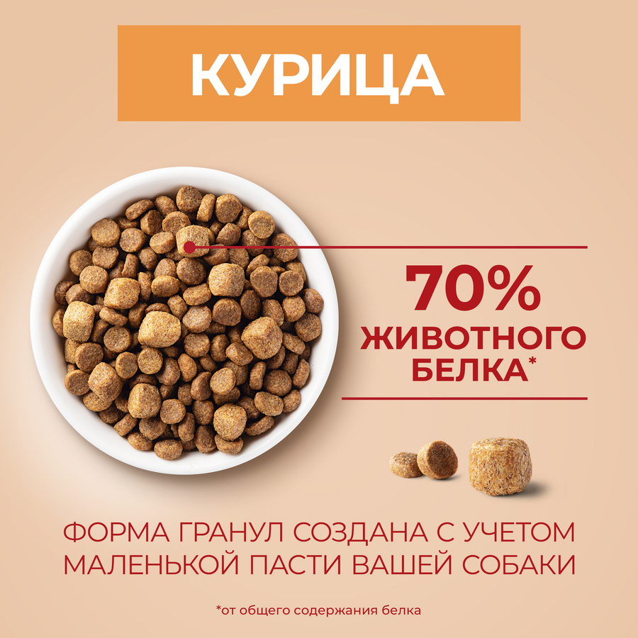 Корм сухой для взрослых собак PURINA ONE Мини Активная, для мелких пород, с курицей и рисом, 1,5кг, превью