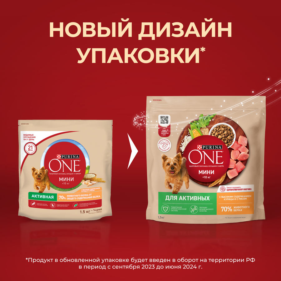 Корм сухой для взрослых собак PURINA ONE Мини Активная, для мелких пород, с курицей и рисом, 1,5кг, превью