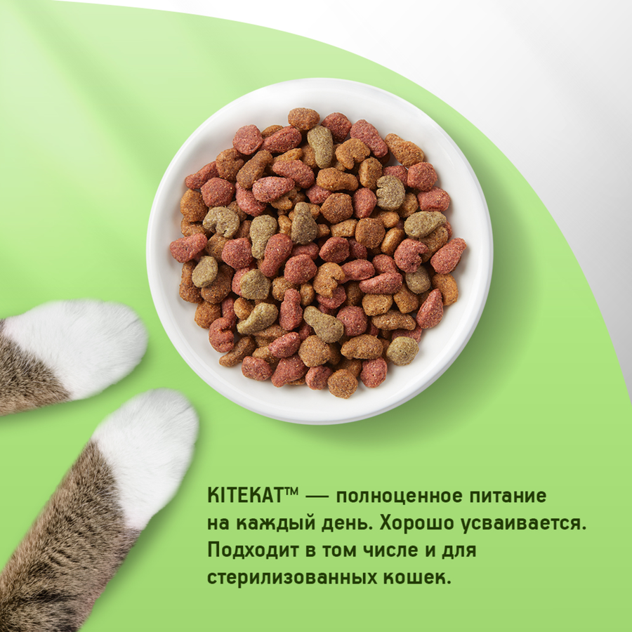 Корм сухой для кошек KITEKAT Аппетитная курочка, 800г, превью