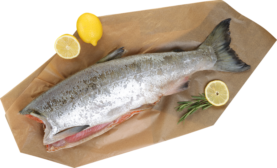 Кижуч Тихоокеанский ЛЕНТА FRESH потрошеный без головы (из замороженного сырья), весовой, превью