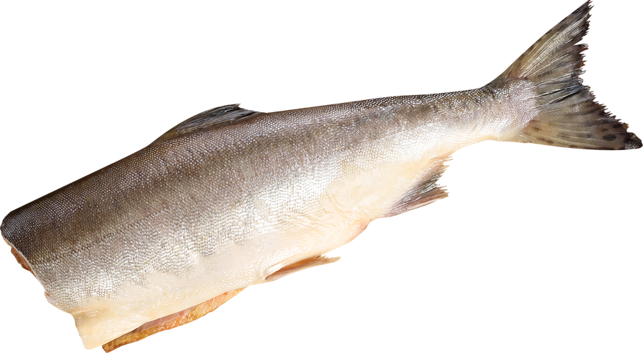 Горбуша Тихоокеанская ЛЕНТА FRESH потрошеная без головы (из замороженного сырья), весовая, превью