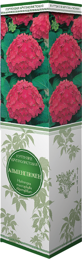 Саженец ПОИСК Гортензия, в ассортименте, предпросмотр