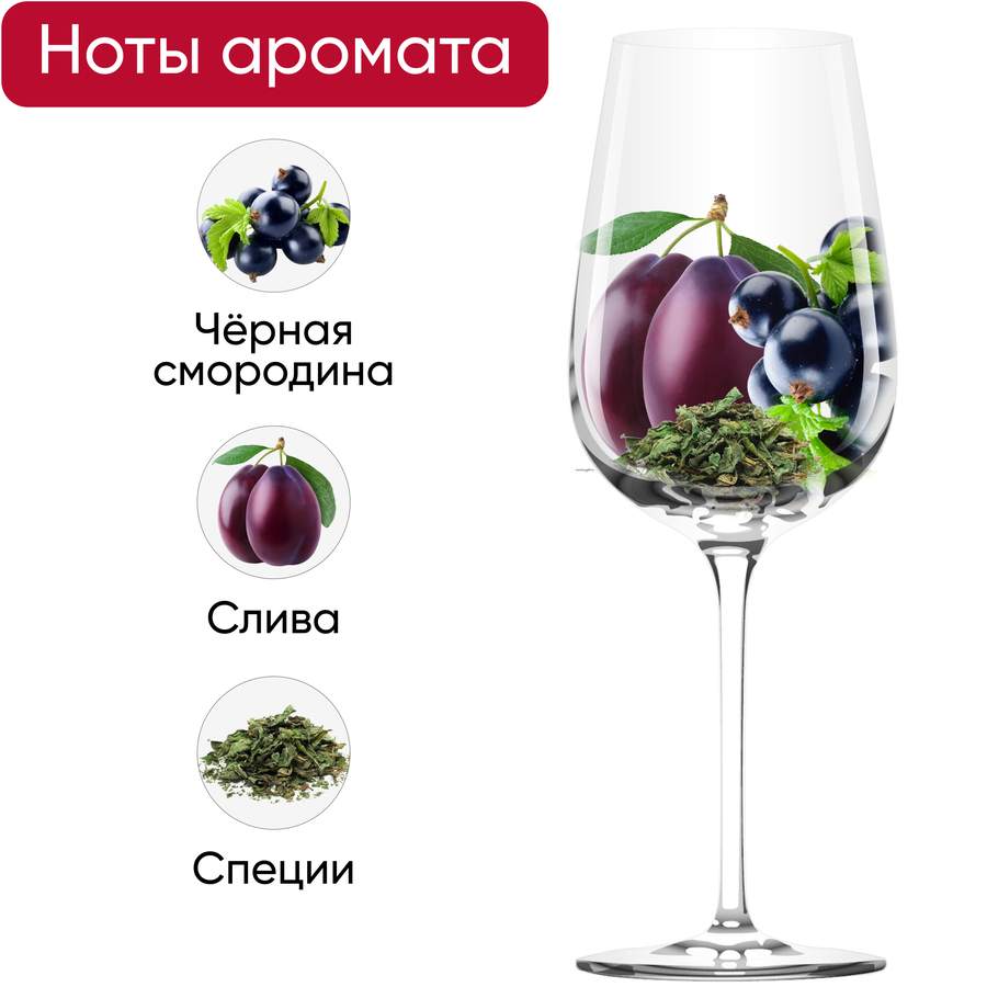 Вино STEAKWINE Каберне Совиньон Мендоса ординарное красное полусухое, 0.75л, превью