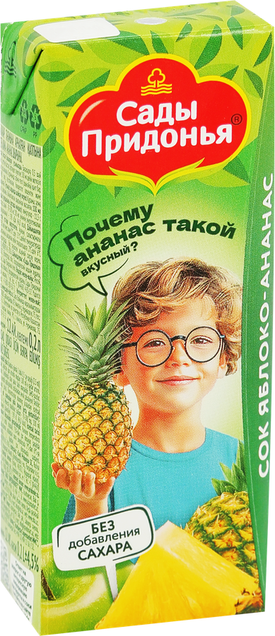 Сок САДЫ ПРИДОНЬЯ Яблоко, ананас, с 6 месяцев, 200мл, превью
