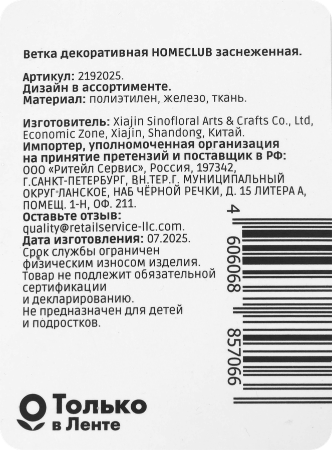 Ветка декоративная HOMECLUB Заснеженная 60см Арт. P34168B-24"RW, предпросмотр