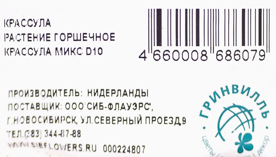 Растение комнатное Крассула d=8,5см, микс, предпросмотр