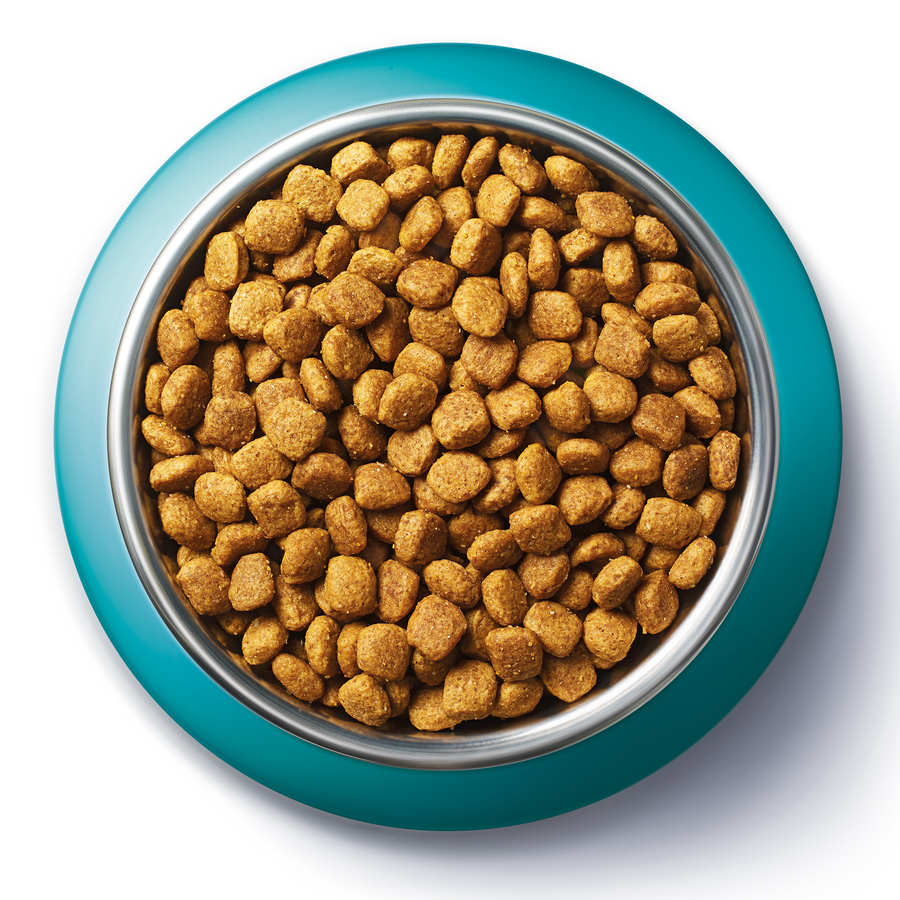 Корм сухой для взрослых кошек PURINA ONE полнорационный, при чувствительном пищеварении, с высоким содержанием индейки, 1,5кг, предпросмотр