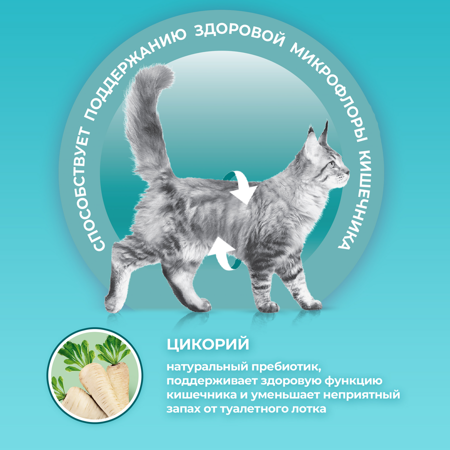 Корм сухой для взрослых кошек PURINA ONE полнорационный, при чувствительном пищеварении, с высоким содержанием индейки, 1,5кг, превью