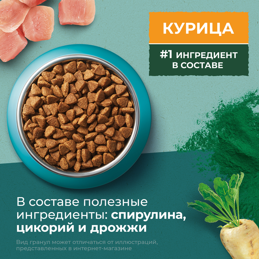 Корм сухой для взрослых кошек PURINA ONE Природа здоровья со спирулиной, с высоким содержанием курицы, 680г, предпросмотр