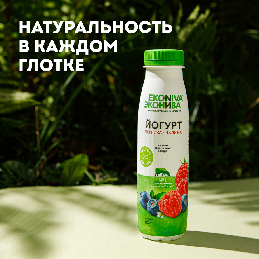 Йогурт питьевой ЭКОНИВА Черника, малина 2,5%, без змж, 300г, предпросмотр