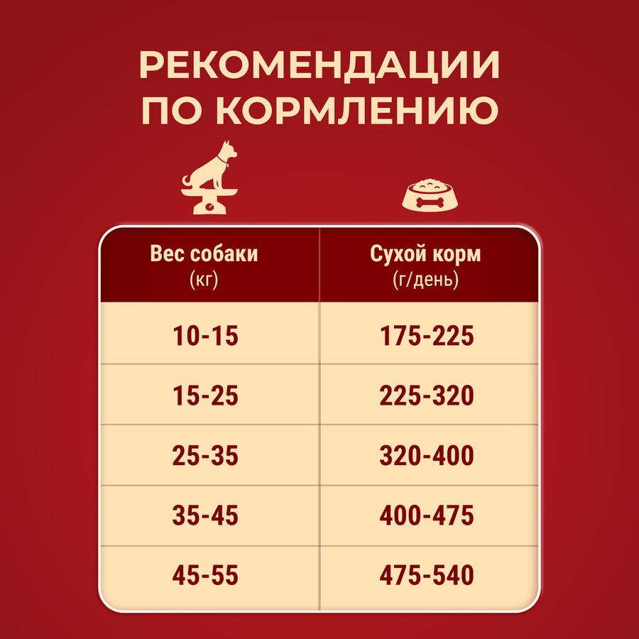 Корм сухой для взрослых собак PURINA ONE для средних и крупных пород, с высоким содержанием курицы и с рисом, 3,8кг, предпросмотр