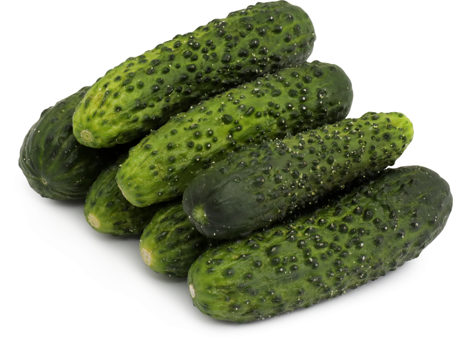 Огурцы ЛЕНТА FRESH корнишоны, 300г, превью