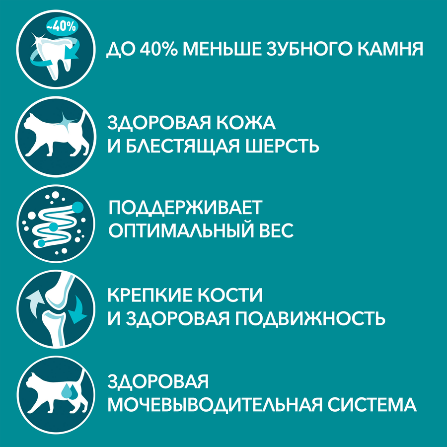 Корм влажный для взрослых кошек PURINA ONE Говядина и морковь, 75г, превью