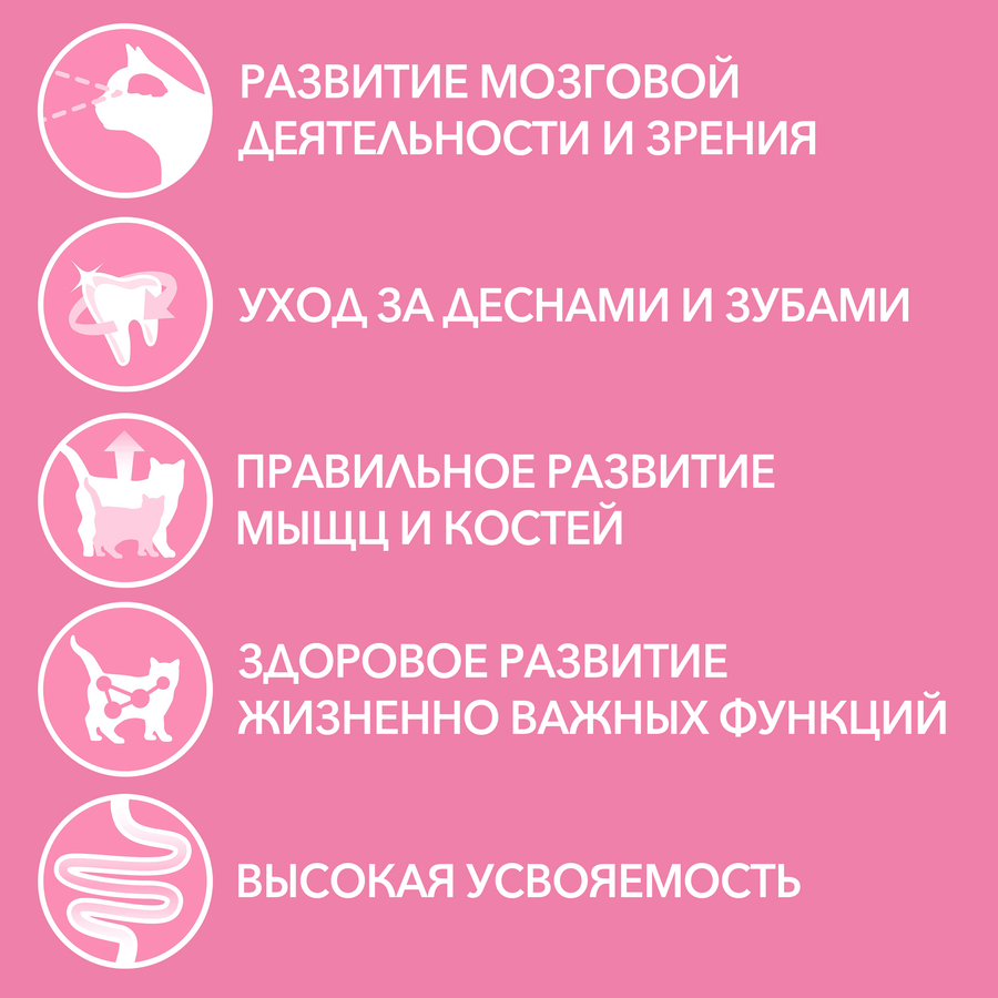 Корм влажный для котят PURINA ONE Курица и морковь, 75г, превью