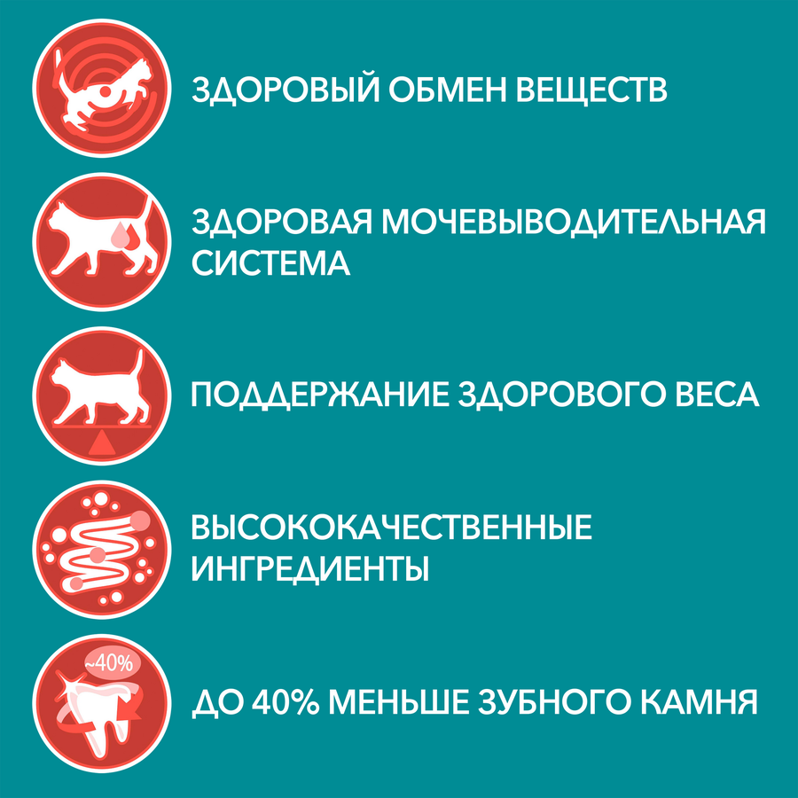 Корм влажный для взрослых кошек PURINA ONE Курица и зеленая фасоль, для стерилизованных, 75г, превью