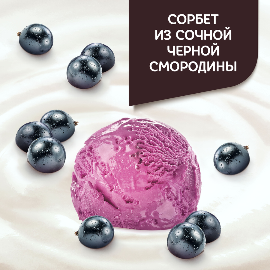Коктейль йогуртный ДАНИССИМО Сорбет черная смородина 2,7%, без змж, 190г, предпросмотр