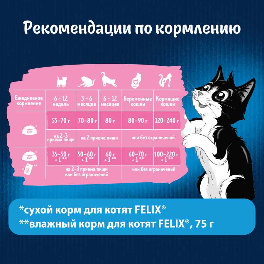 Корм сухой для котят FELIX Двойная вкуснятина, с курочкой 600г, предпросмотр