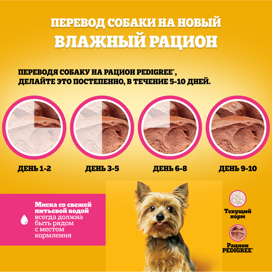 Корм консервированный для взрослых собак PEDIGREE паштет с говядиной, для миниатюрных пород, 80г, предпросмотр