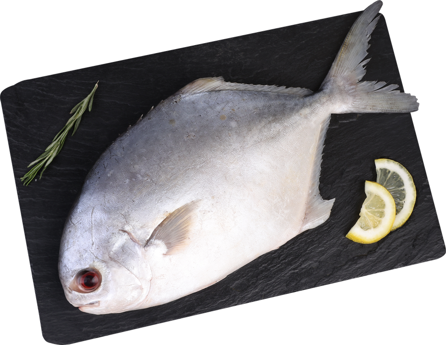 Помпано ЛЕНТА FRESH непотрошеная с головой (из замороженного сырья), весовая, превью