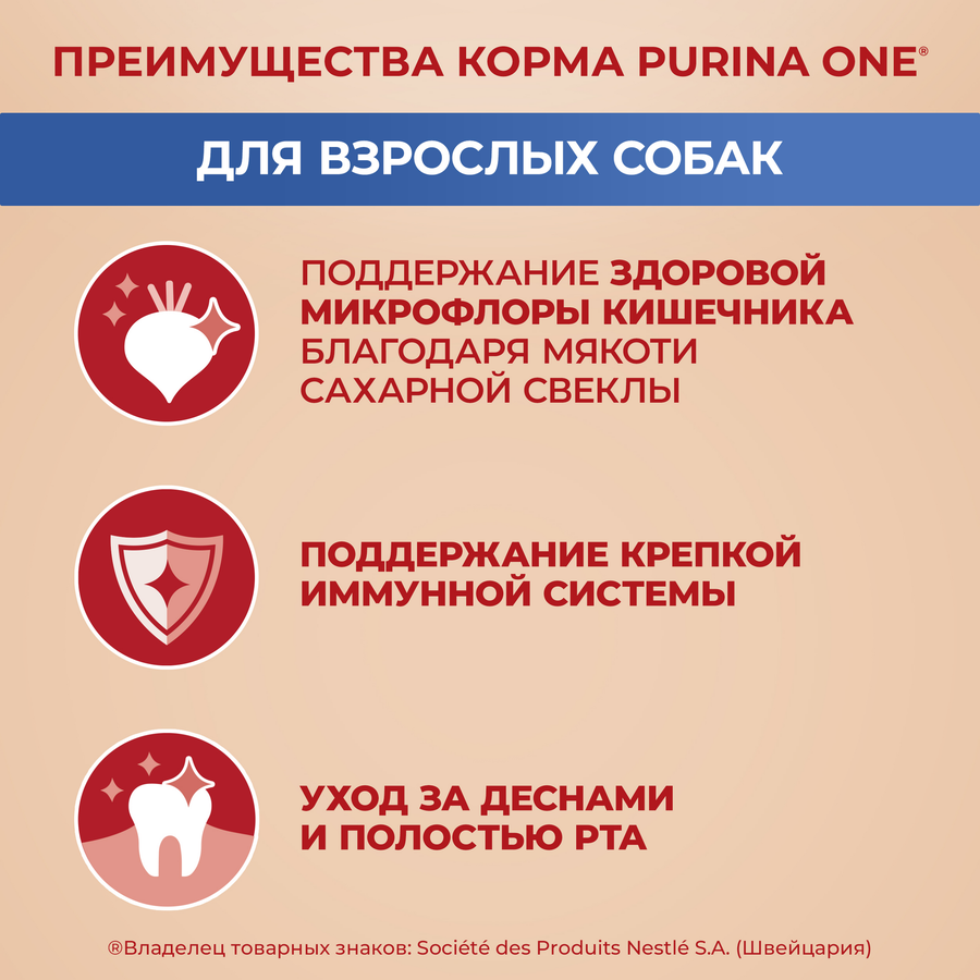 Корм сухой для взрослых собак PURINA ONE Мини, со вкусом говядины, 1,5кг, превью