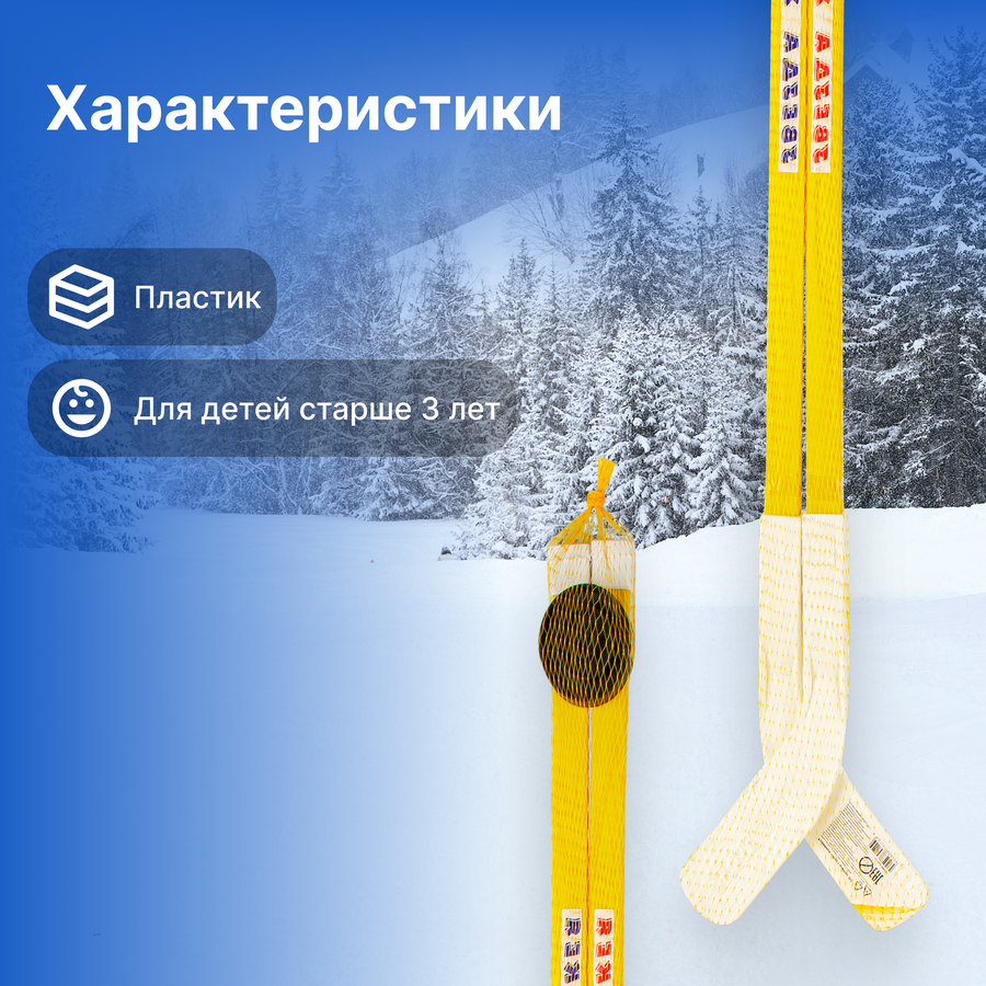 Набор хоккейный, с шайбой, Арт. 1124576760, предпросмотр