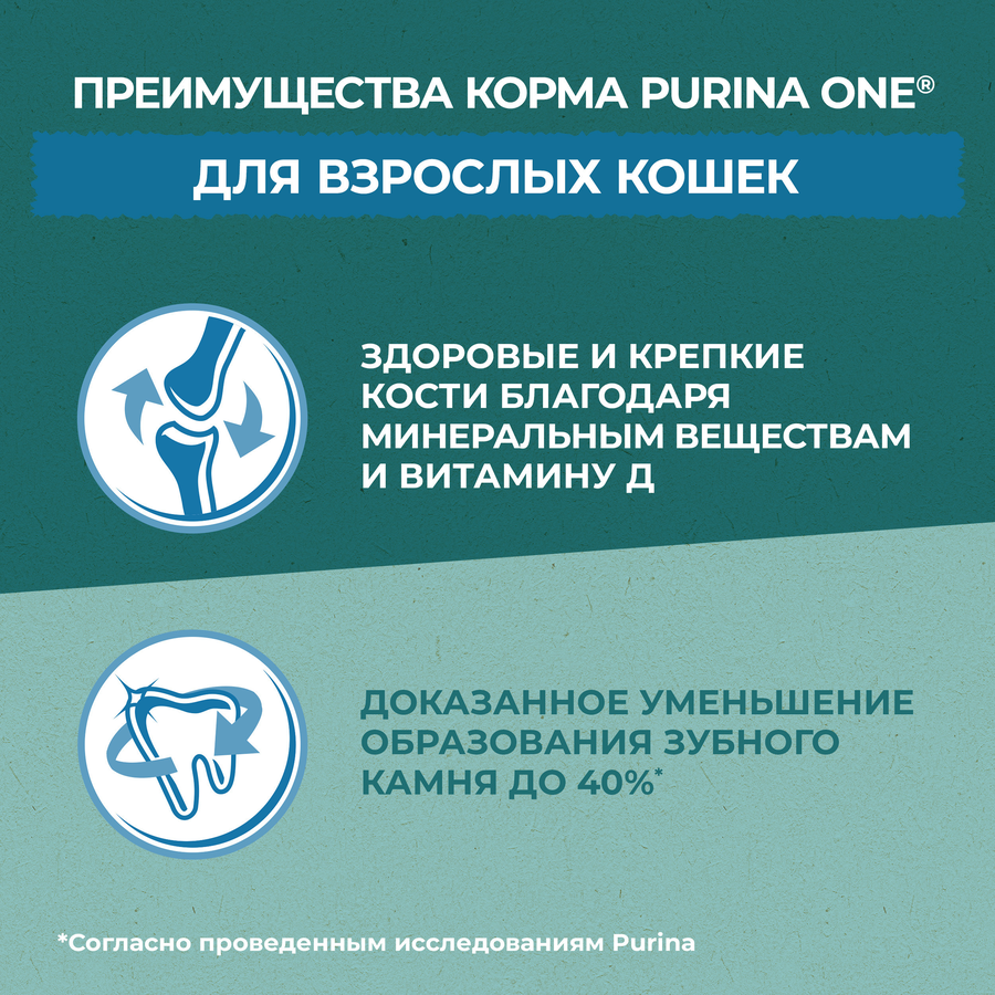 Корм сухой для взрослых кошек PURINA ONE Природа здоровья со спирулиной, с высоким содержанием индейки, 680г, предпросмотр