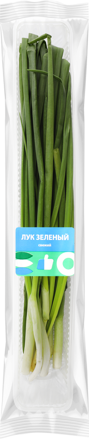 Лук зеленый ЛЕНТА свежий, 100г, предпросмотр