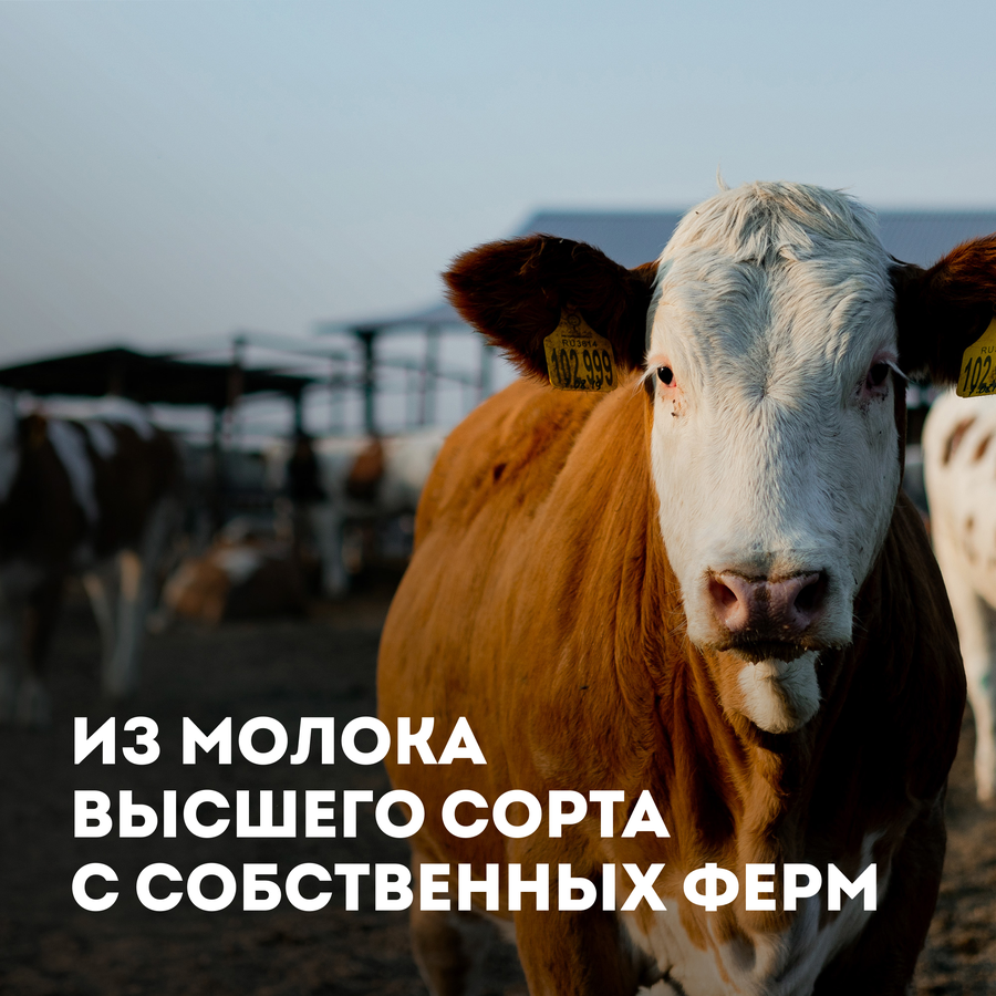 Масло сливочное ЭКОНИВА Традиционное 82,5%, без змж, 350г, превью
