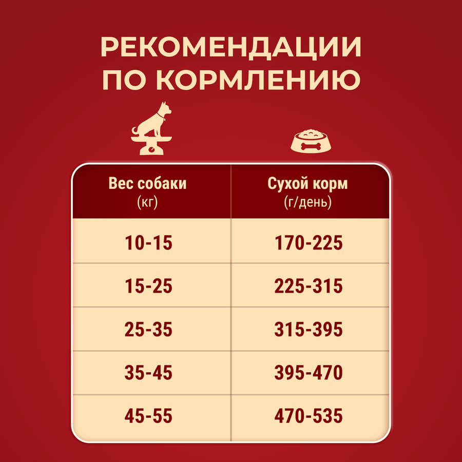 Корм сухой для взрослых собак PURINA ONE для средних и крупных пород,  с высоким содержанием ягненка и рисом, 3,8кг, превью