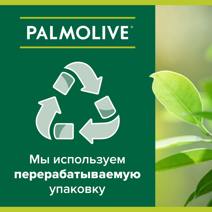 Туалетное мыло PALMOLIVE Натурэль Бодрящая свежесть с экстрактами зеленого чая и огурца, 150г, превью