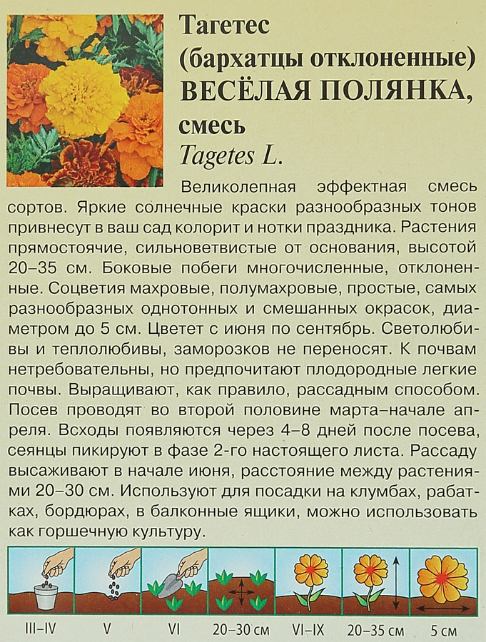 Семена ГАВРИШ Бархатцы отклоненные (Тагетес) Веселая полянка, Арт. 10000929, 0,3г, предпросмотр
