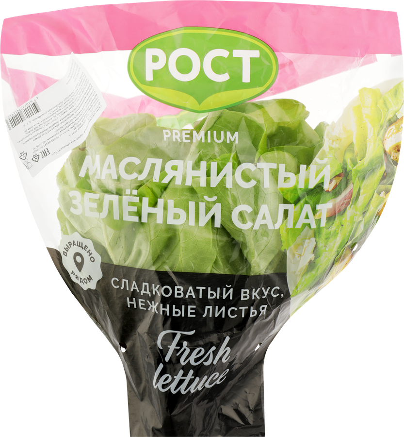 Салат Маслянистый, в горшочке, превью