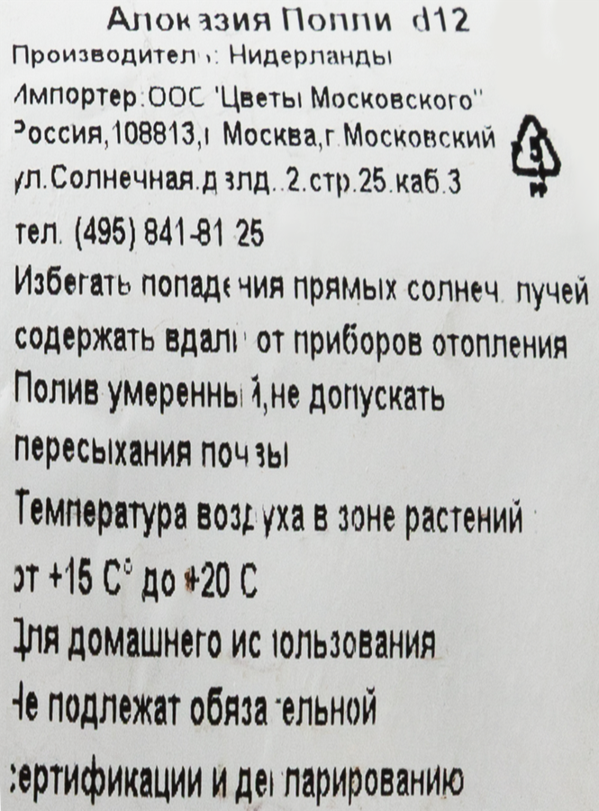 Растение в горшке Алоказия Полли d=12см, предпросмотр