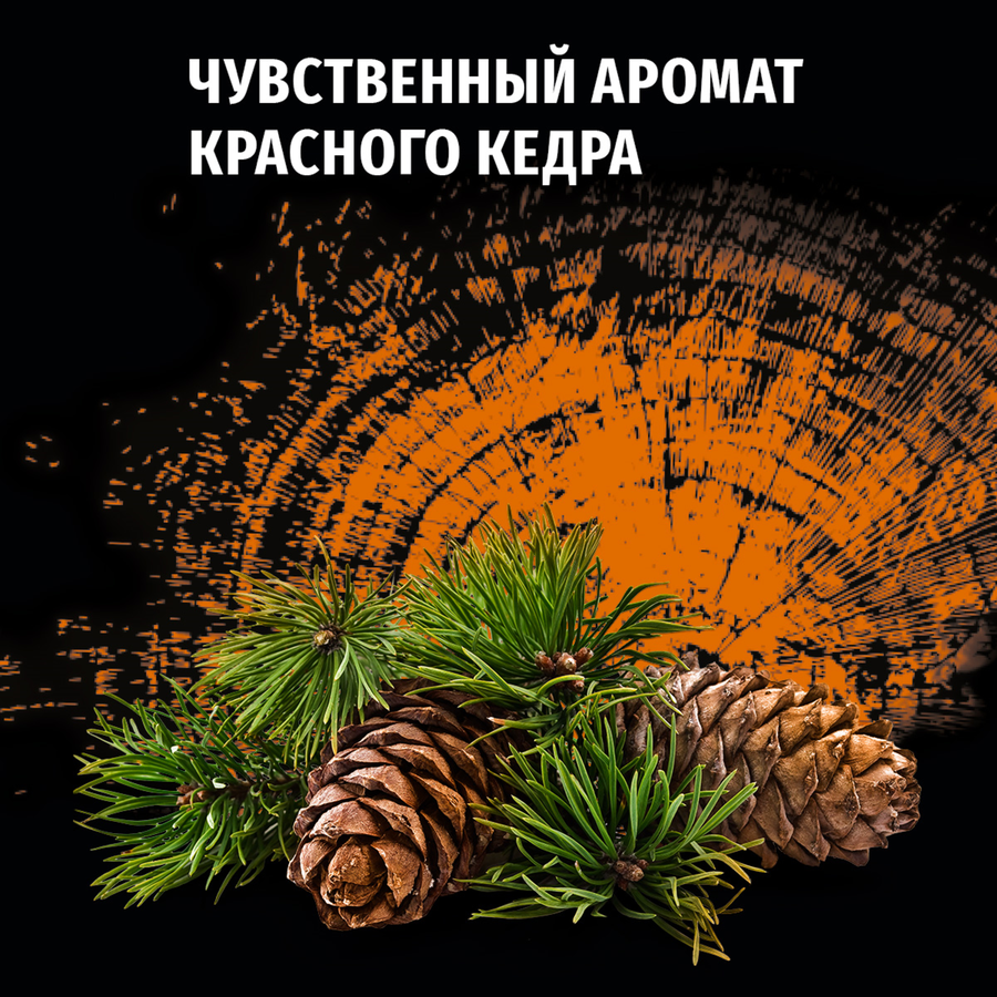 Дезодорант-спрей мужской ФА Men Красный кедр, 150мл, превью