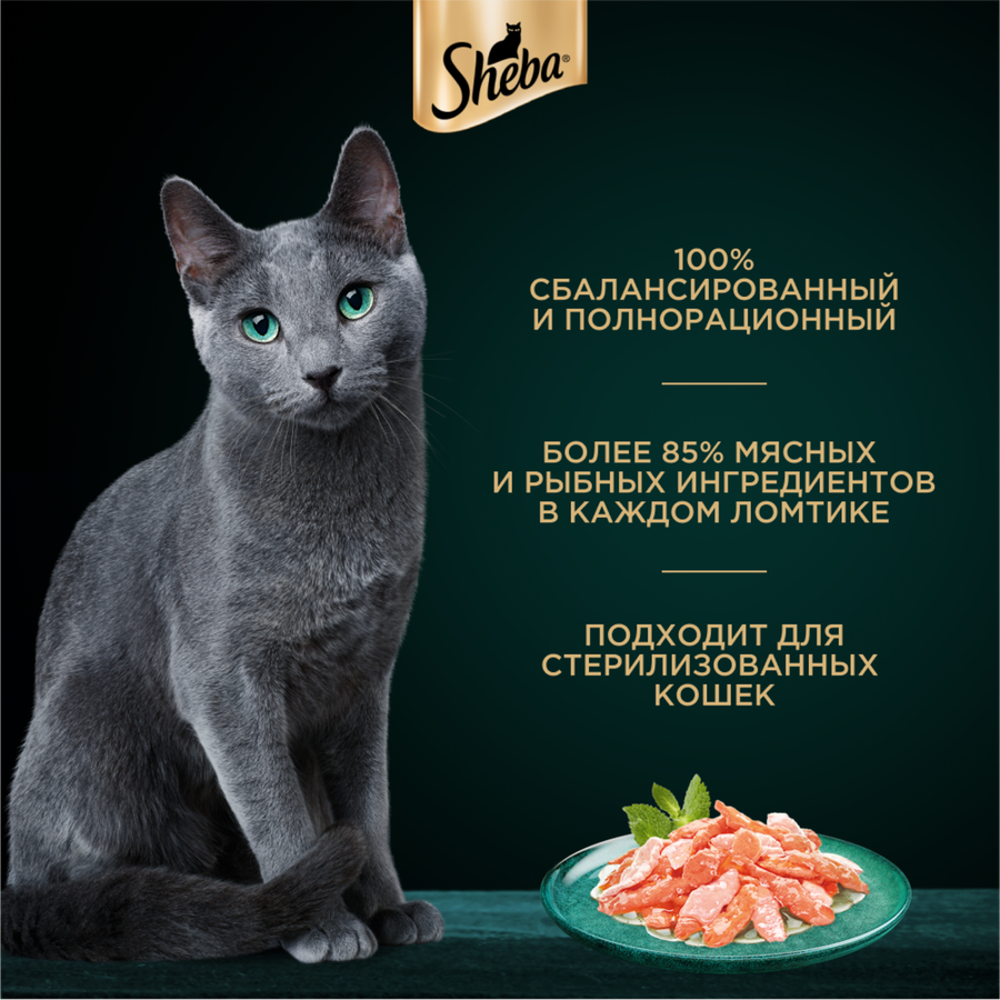 Корм консервированный для взрослых кошек SHEBA ломтики в соусе с форелью и креветками, 75г, превью