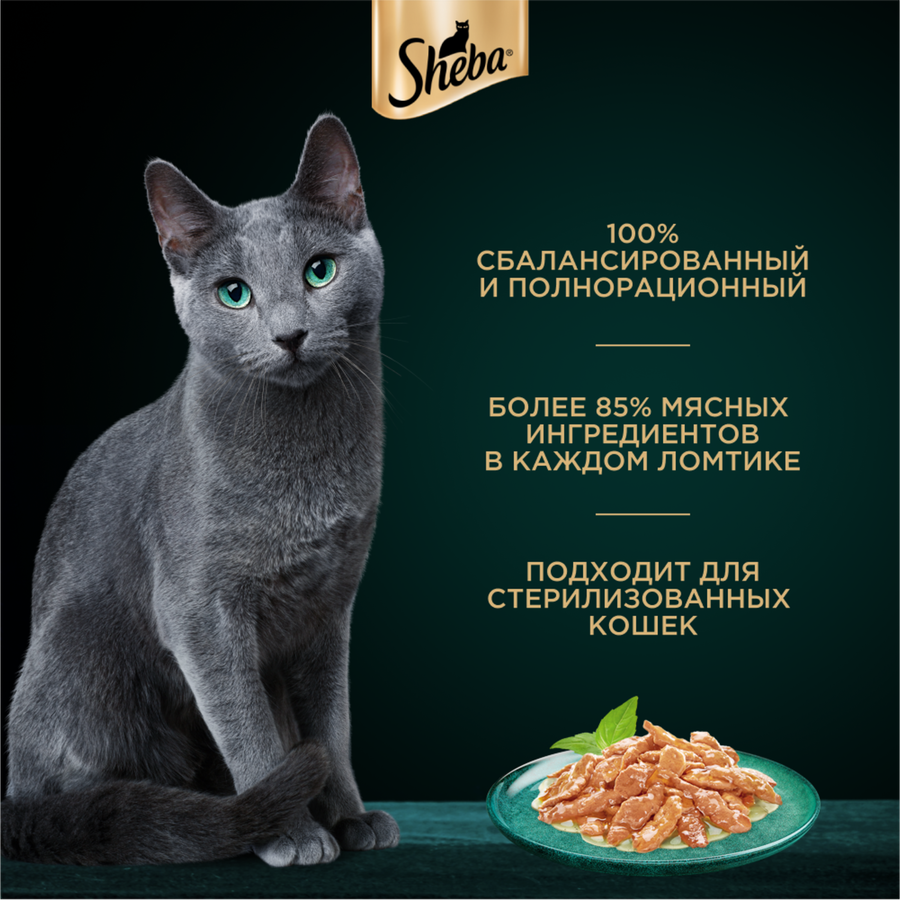 Корм консервированный для взрослых кошек SHEBA ломтики в соусе с курицей, 75г, предпросмотр