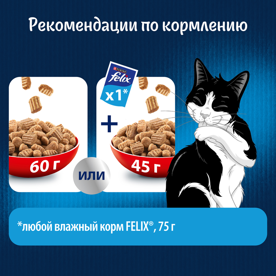 Корм сухой для взрослых кошек FELIX Двойная вкуснятина с говядиной, 1,3кг, предпросмотр