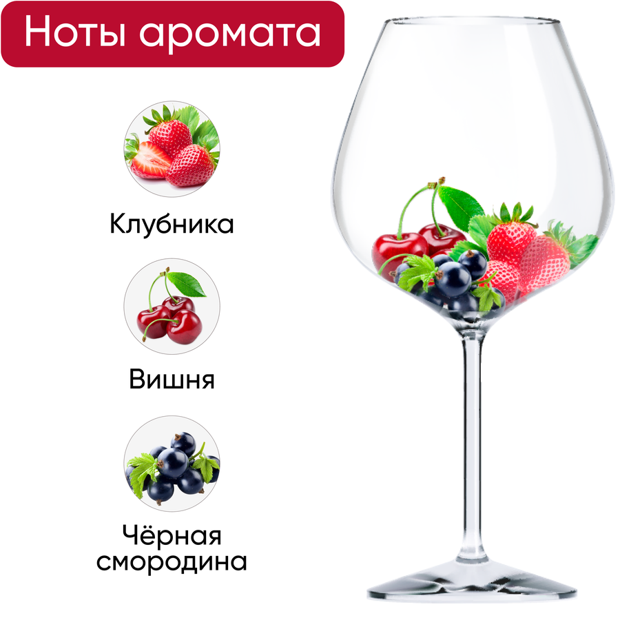 Вино CHATEAU SAINTONGEY Bordeaux красное сухое, 0.75л, превью