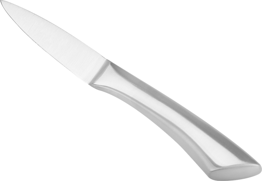 Нож для овощей HOMECLUB Steel 8см, цельнометаллический, нержавеющая сталь Арт. EKA-v5, предпросмотр