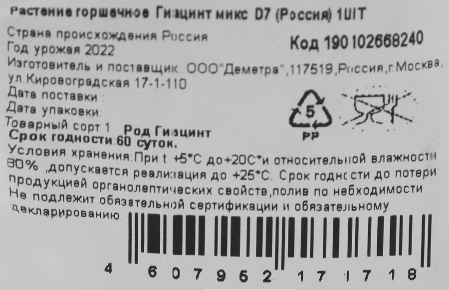 Растение в горшке ДЕМЕТРА Гиацинт микс d=7см, превью