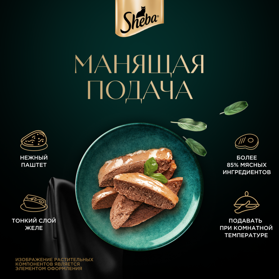 Корм консервированный для кошек SHEBA Нежный паштет в желе Говядина, 75г, превью