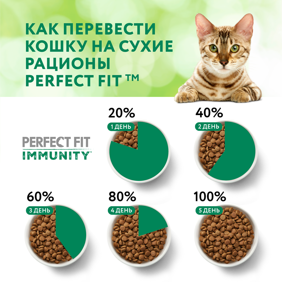 Корм сухой для кошек PERFECT FIT Immunity Говядина, семяна льна, голубика, 580г, предпросмотр