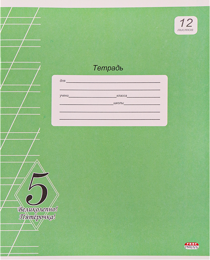 Тетрадь PROF-PRESS Великолепно! Пятерка, 12 листов, в клетку, зеленая, Арт. 12-8719, предпросмотр