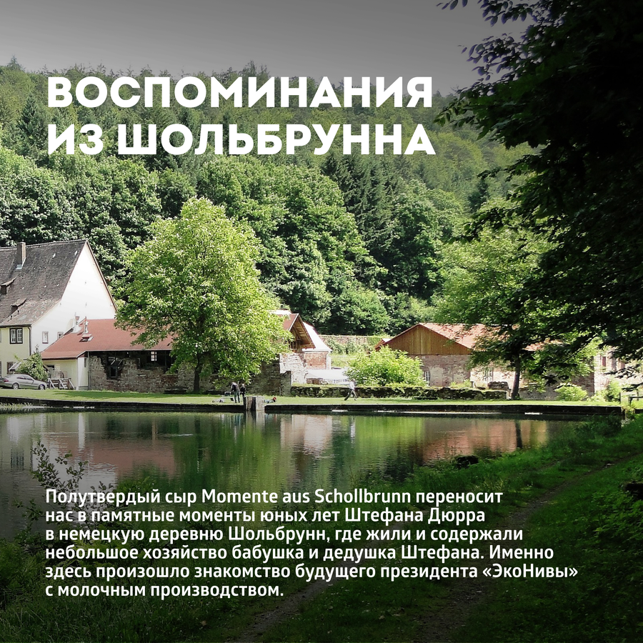 Сыр полутвердый ЭКОНИВА Воспоминания из Шольбрунна Momente aus Schollbrunn 50%, без змж, весовой, предпросмотр