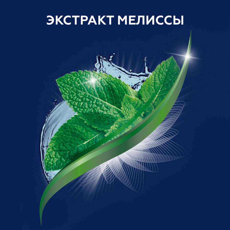 Шампунь для волос мужской SHAMTU Густота и свежесть с экстрактом мелиссы, 500мл, превью